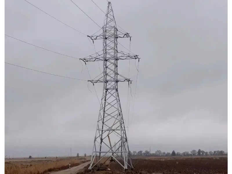 माओ टोंगचे ग्राहक अभिप्राय